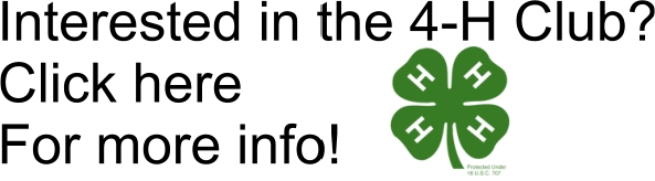 4-H Club